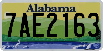 AL license plate 7AE2163