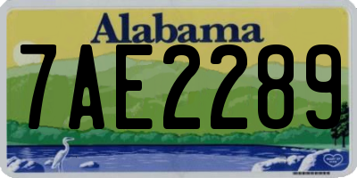 AL license plate 7AE2289