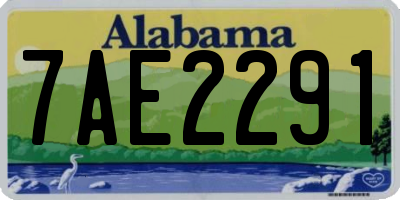 AL license plate 7AE2291