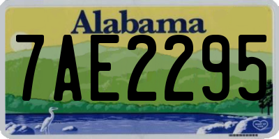 AL license plate 7AE2295