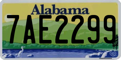 AL license plate 7AE2299