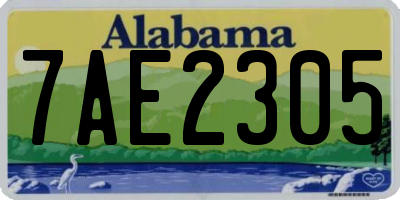 AL license plate 7AE2305