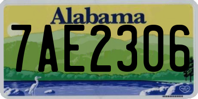 AL license plate 7AE2306