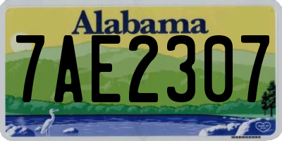 AL license plate 7AE2307