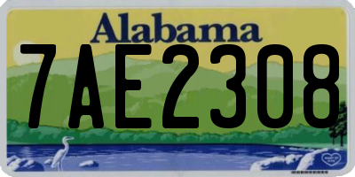 AL license plate 7AE2308
