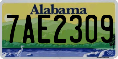 AL license plate 7AE2309