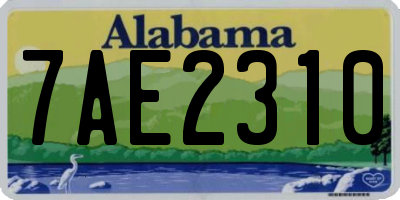 AL license plate 7AE2310