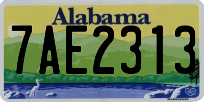 AL license plate 7AE2313