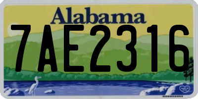 AL license plate 7AE2316