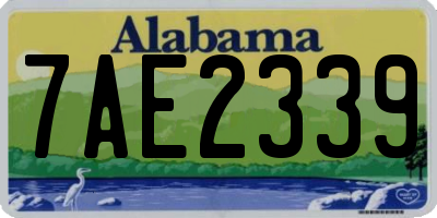 AL license plate 7AE2339