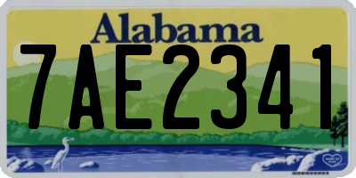 AL license plate 7AE2341