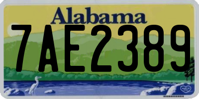 AL license plate 7AE2389
