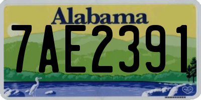 AL license plate 7AE2391