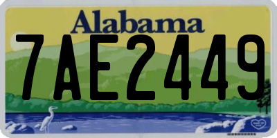 AL license plate 7AE2449