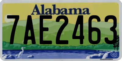 AL license plate 7AE2463