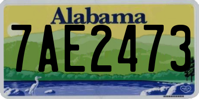 AL license plate 7AE2473