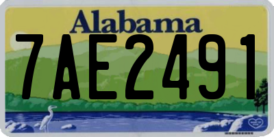 AL license plate 7AE2491