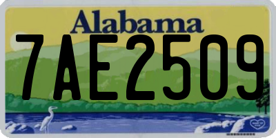 AL license plate 7AE2509