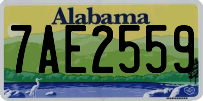 AL license plate 7AE2559