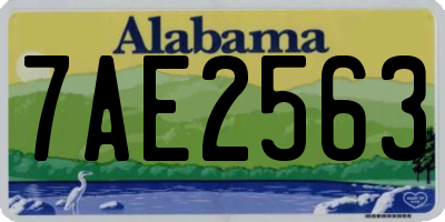 AL license plate 7AE2563