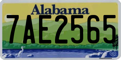 AL license plate 7AE2565