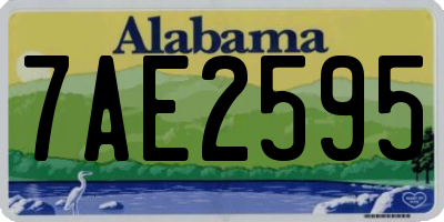 AL license plate 7AE2595