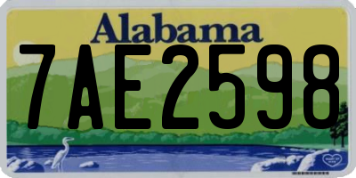 AL license plate 7AE2598