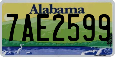 AL license plate 7AE2599