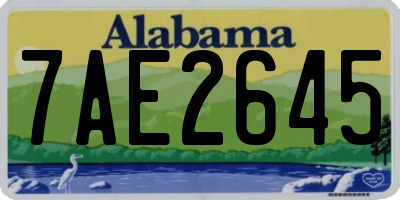 AL license plate 7AE2645