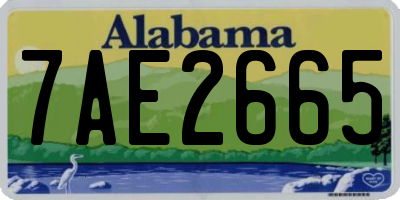 AL license plate 7AE2665