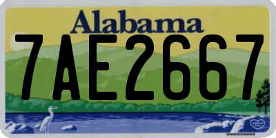 AL license plate 7AE2667