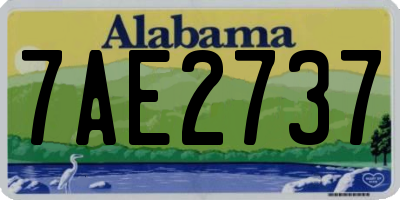 AL license plate 7AE2737