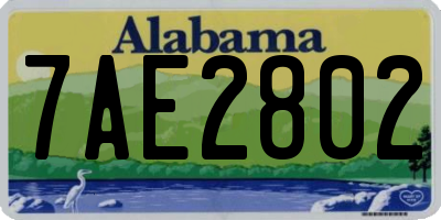 AL license plate 7AE2802