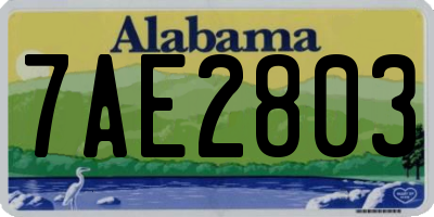 AL license plate 7AE2803