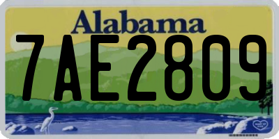 AL license plate 7AE2809