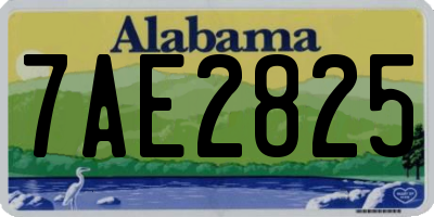 AL license plate 7AE2825