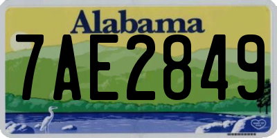 AL license plate 7AE2849