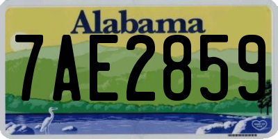 AL license plate 7AE2859