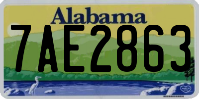 AL license plate 7AE2863
