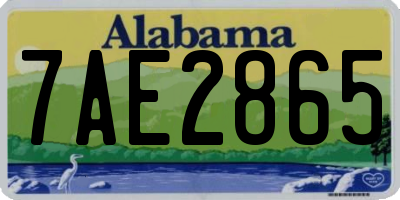 AL license plate 7AE2865