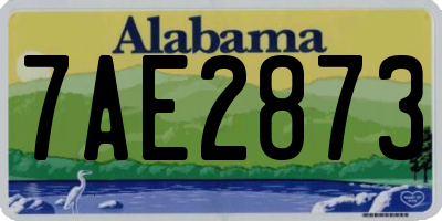 AL license plate 7AE2873
