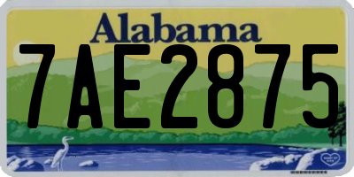 AL license plate 7AE2875