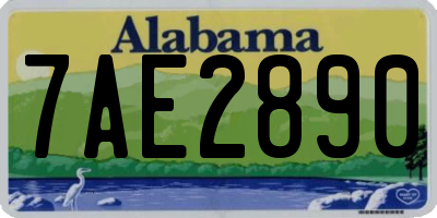 AL license plate 7AE2890