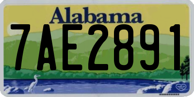 AL license plate 7AE2891