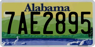 AL license plate 7AE2895