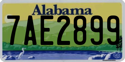 AL license plate 7AE2899
