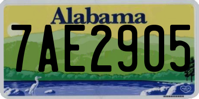 AL license plate 7AE2905
