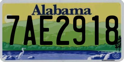 AL license plate 7AE2918