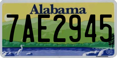 AL license plate 7AE2945