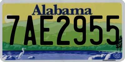 AL license plate 7AE2955